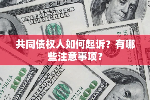 济南共同债权人如何起诉？有哪些注意事项？